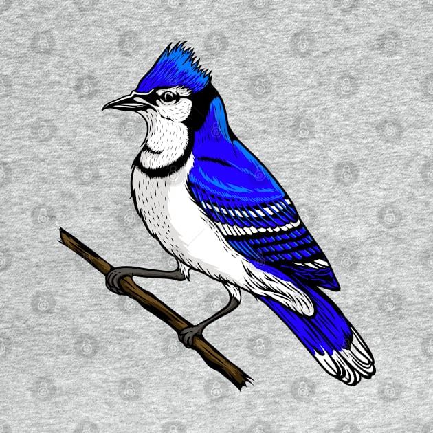 Blue Jay by Sticker Steve